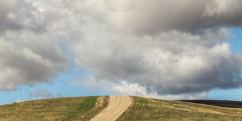 A road leads through the green hills and blue skies of Tippet Rise.