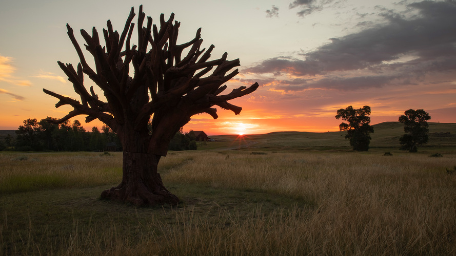 Highlights from the 2025 season.  Photos by Kevin Kinzley.