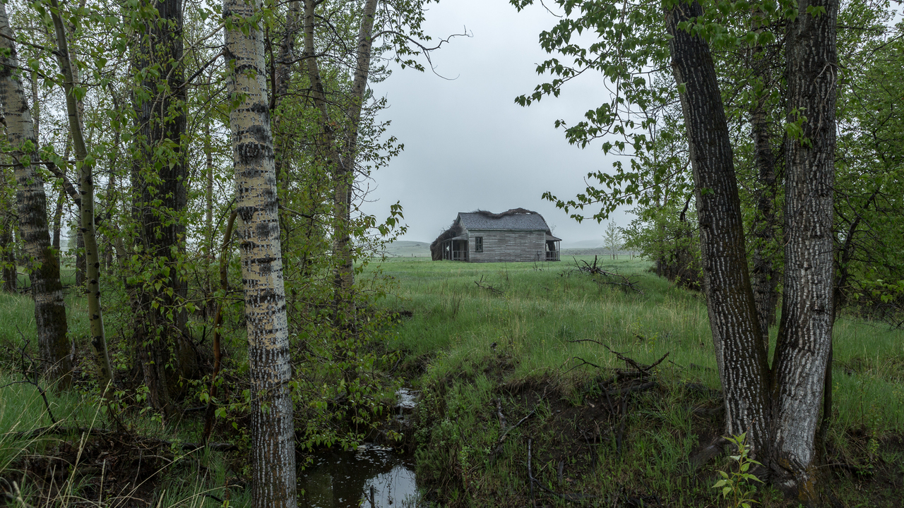 Tippet Rise on Tour: Spring Festival BACKSTAGE LOUNGE | Saturday, April 17, 2021 5:30 PM MDT