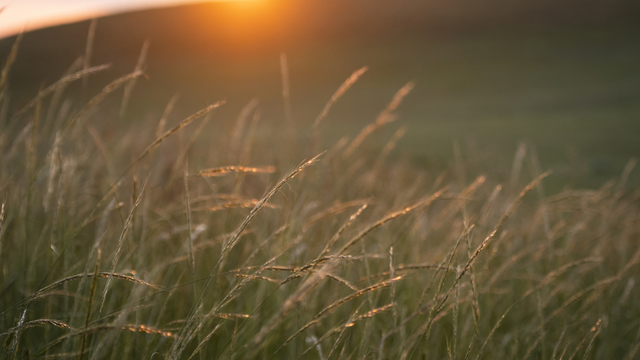 Tippet Rise on Tour: August Festival | Day One | Live Backstage Gathering | August 19, 2021 | 5:30PM MDT